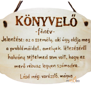 Vicces könyvelőnek szóló pirogravírozott kép | mANDIbo handmade